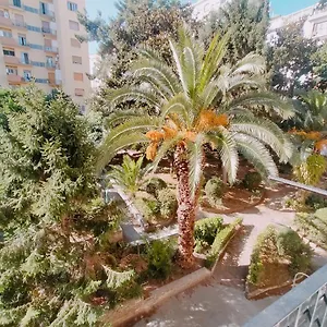 Maccus Napoli